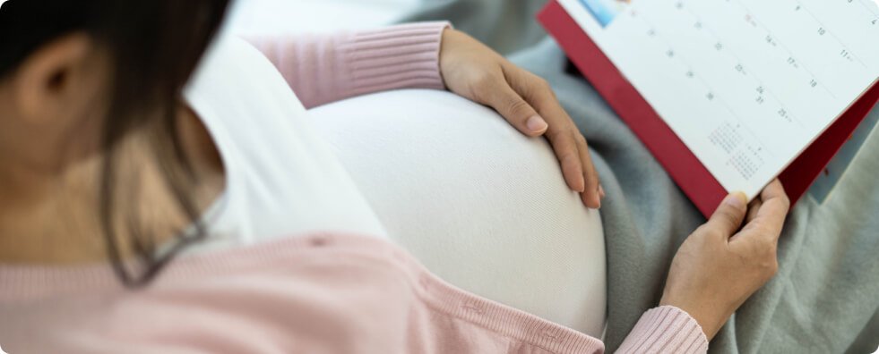 pregnancy-guide-inner-desk